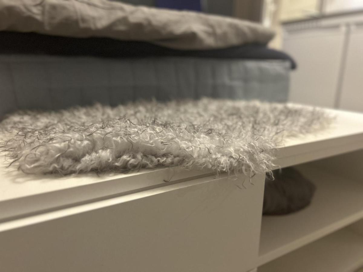 New Studio Apartment In Tromso - Aurora Hotspot Esterno foto